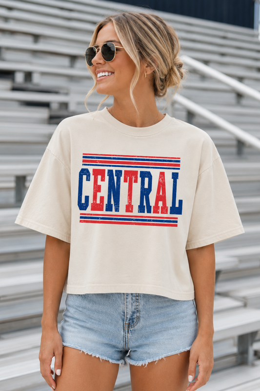 BCE - LONG CROP TEE IN TAN