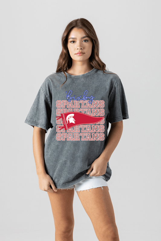 BIXBY SPARTANS VINTAGE WASH BOYFRIEND TEE - The Club