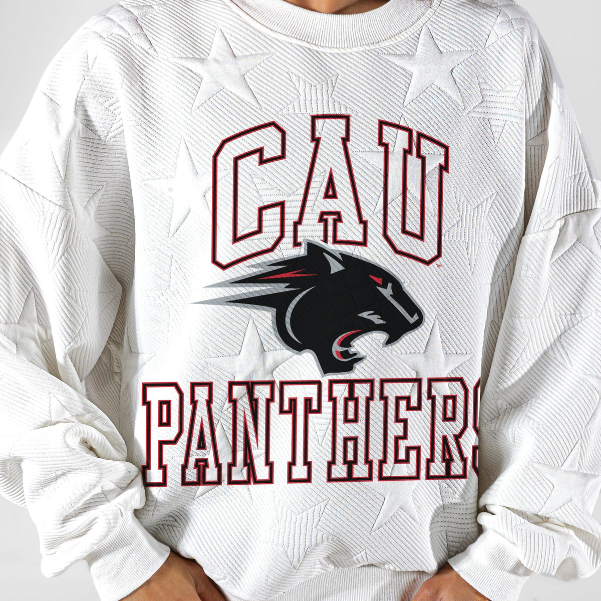 CLARK ATLANTA UNIVERSITY PANTHERS BIG PLAY ENERGY EMBOSSED STAR CREWNECK