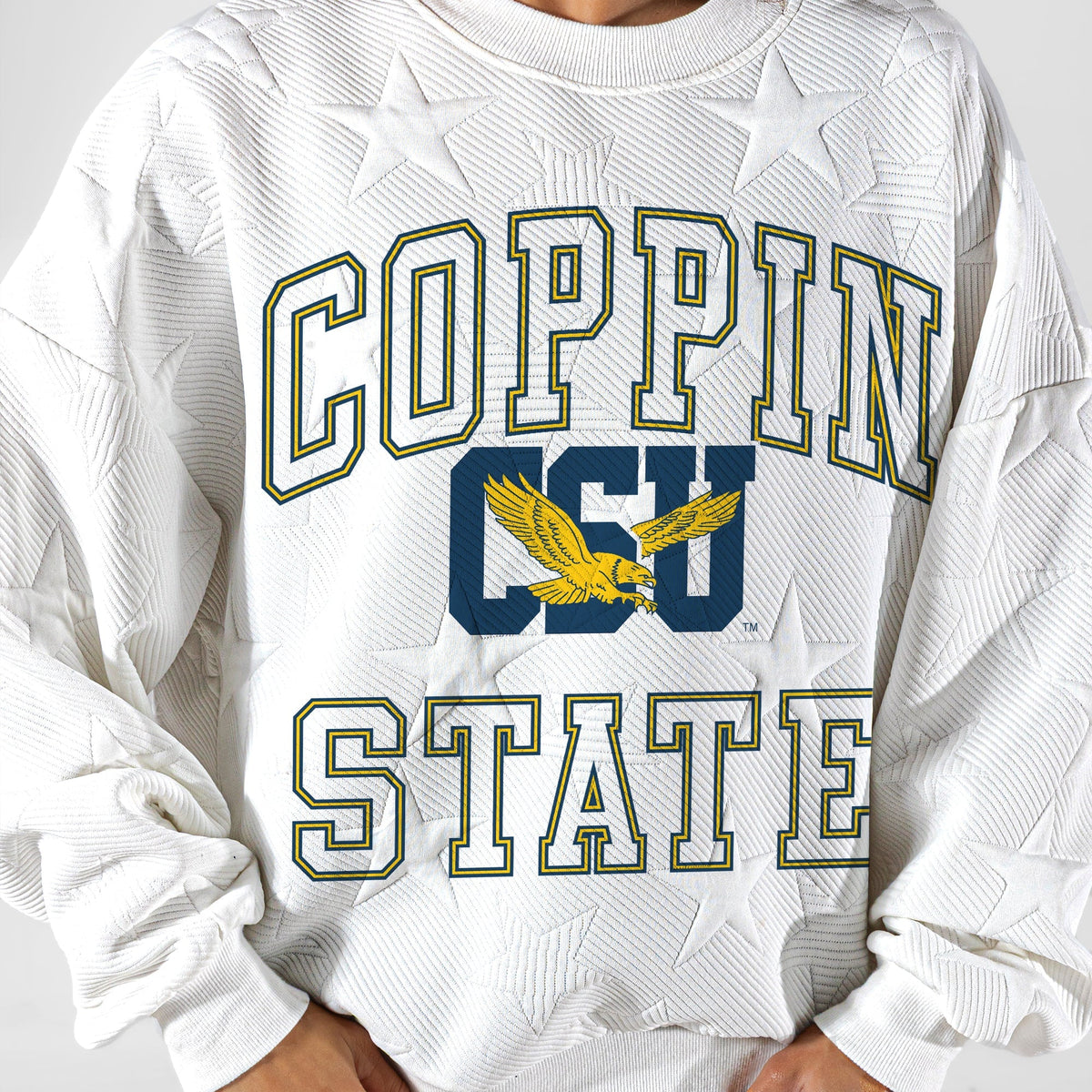 COPPIN STATE EAGLES BIG PLAY ENERGY EMBOSSED STAR CREWNECK