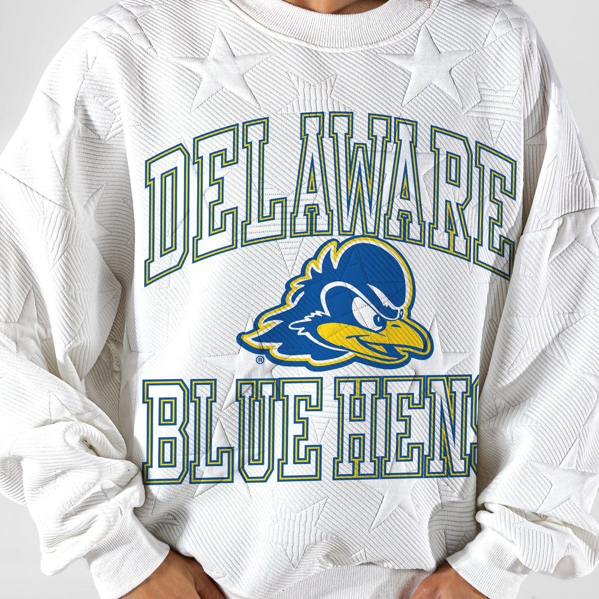 DELAWARE BLUE HENS BIG PLAY ENERGY EMBOSSED STAR CREWNECK