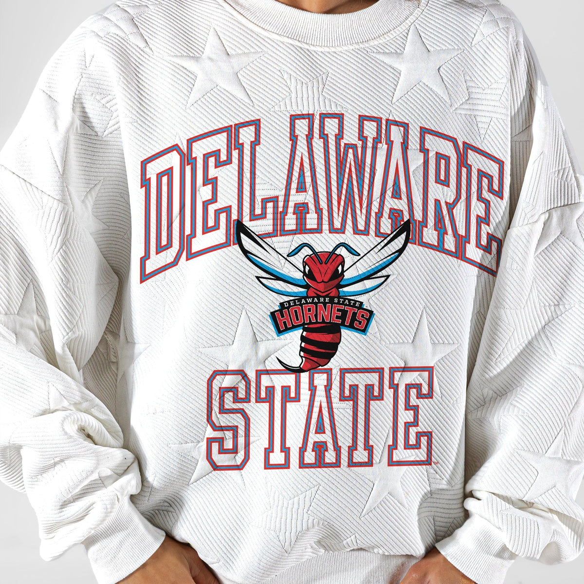 DELAWARE STATE HORNETS BIG PLAY ENERGY EMBOSSED STAR CREWNECK