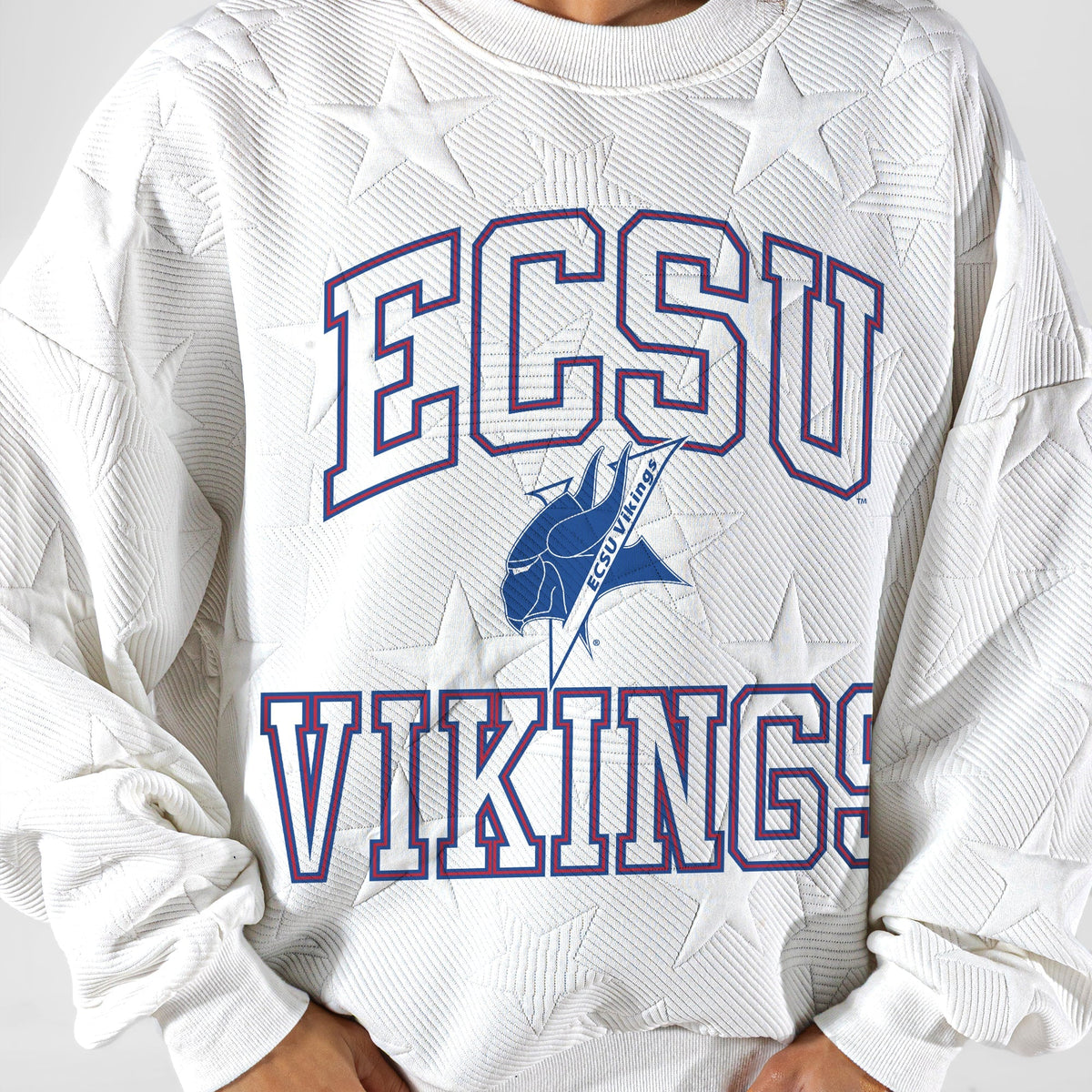 ELIZABETH CITY STATE UNIVERSITY VIKINGS BIG PLAY ENERGY EMBOSSED STAR CREWNECK