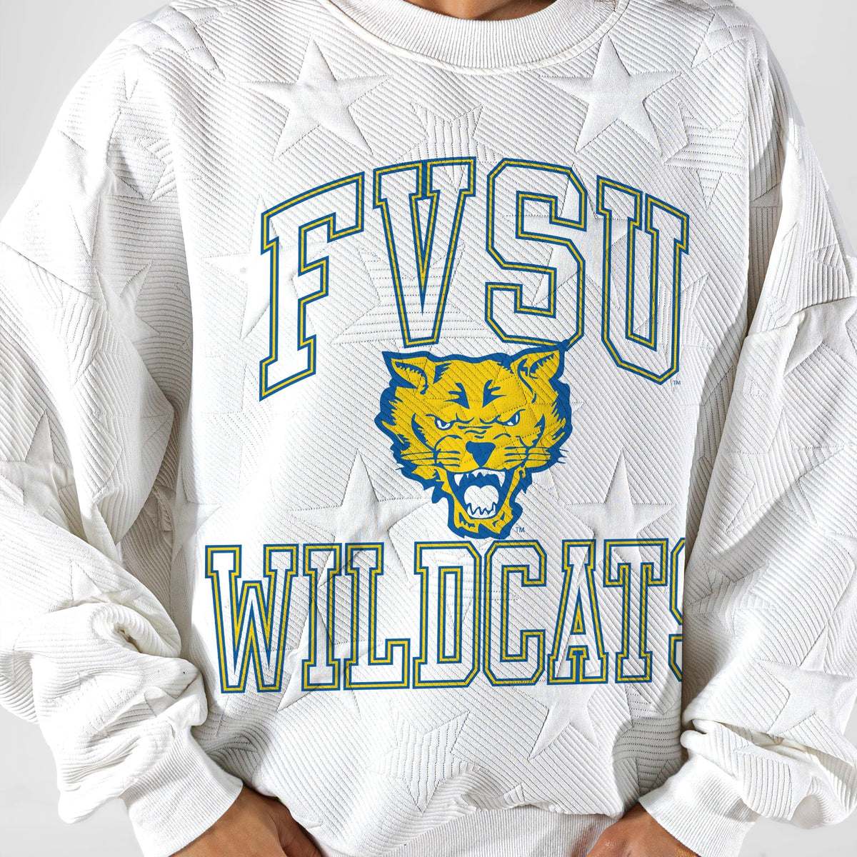 FORT VALLEY STATE WILDCATS BIG PLAY ENERGY EMBOSSED STAR CREWNECK