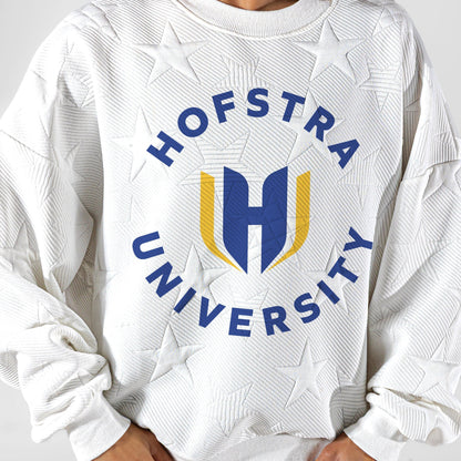 HOFSTRA PRIDE BIG PLAY ENERGY EMBOSSED STAR CREWNECK