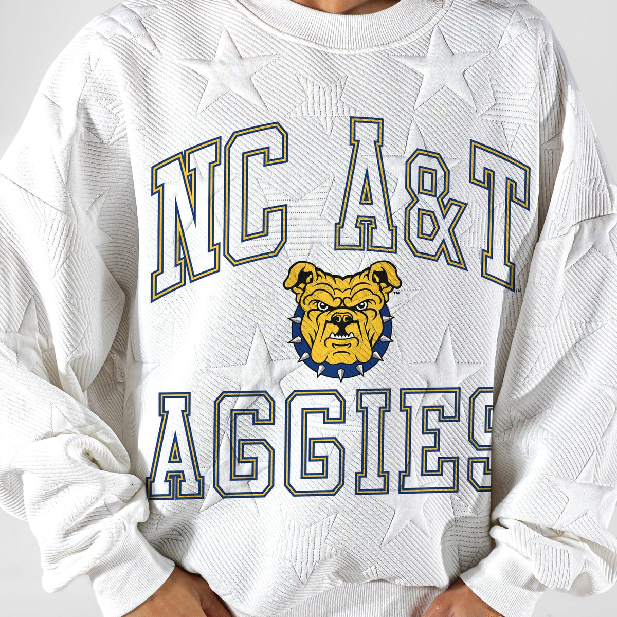 NORTH CAROLINA A&T STATE AGGIES BIG PLAY ENERGY EMBOSSED STAR CREWNECK