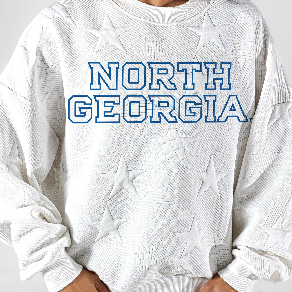 NORTH GEORGIA NIGHTHAWKS BIG PLAY ENERGY EMBOSSED STAR CREWNECK