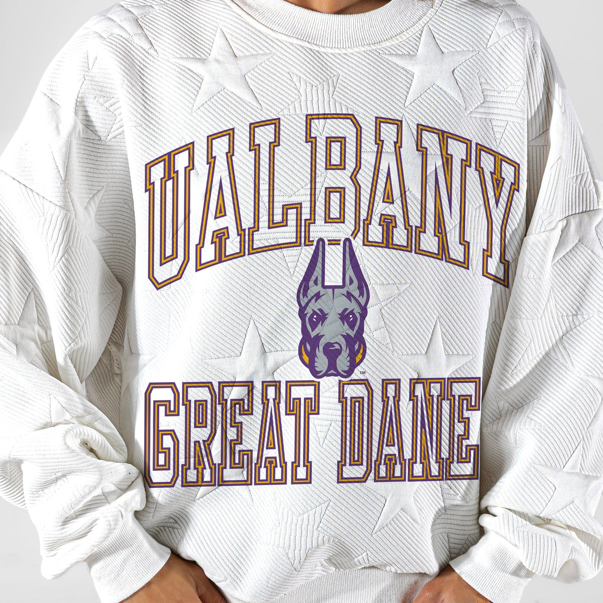 ALBANY GREAT DANES BIG PLAY ENERGY EMBOSSED STAR CREWNECK