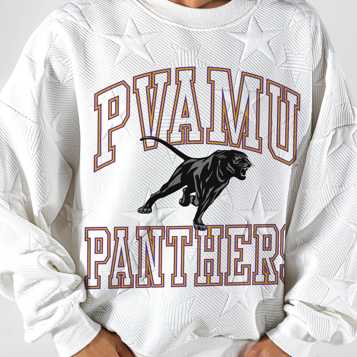 PRAIRIE VIEW A&M PANTHERS BIG PLAY ENERGY EMBOSSED STAR CREWNECK