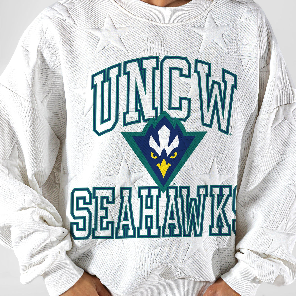 UNC WILMINGTON SEAHAWKS BIG PLAY ENERGY EMBOSSED STAR CREWNECK
