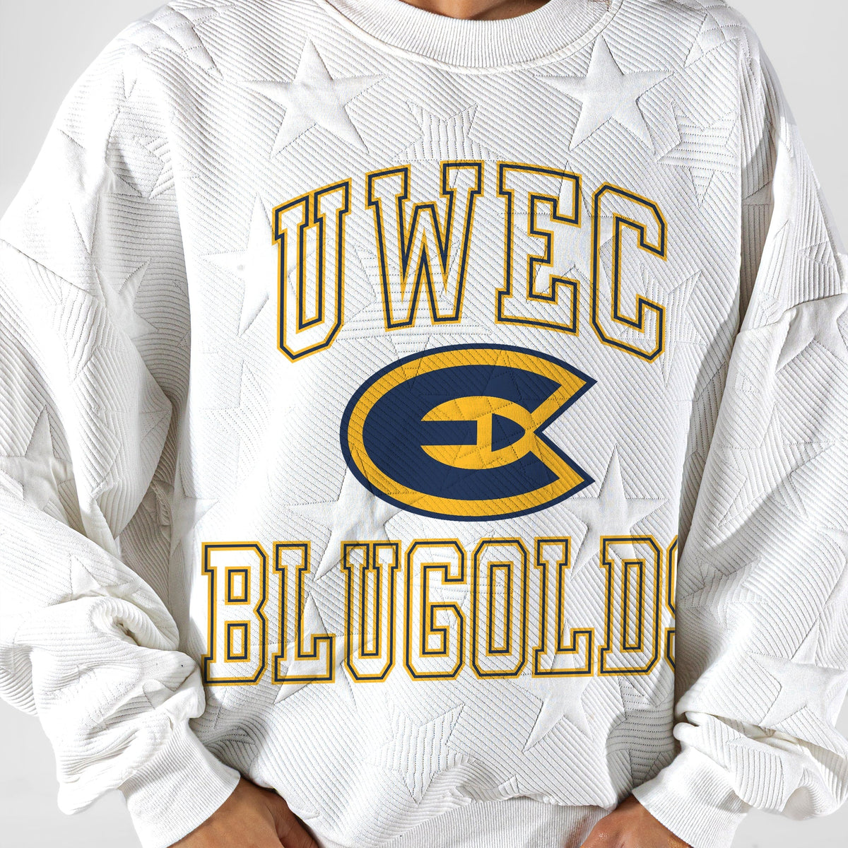 WISCONSIN-EAU CLAIRE BLUGOLDS BIG PLAY ENERGY EMBOSSED STAR CREWNECK