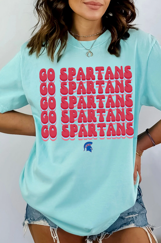 RETRO GO SPARTANS GARMENT WASHED TEE